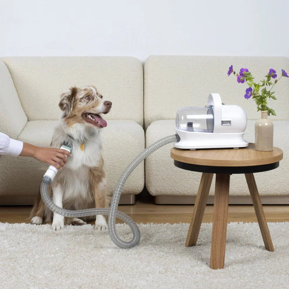 Pälsdammsugare för Hund & Katt – Borsta, Klipp och Samla Upp Pälsen